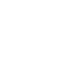 Chương trình Mentorship đã thực hiện